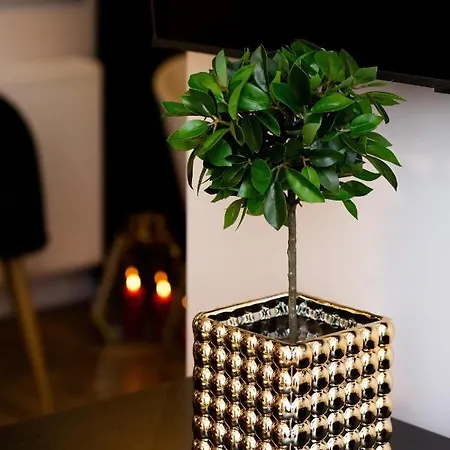 Wola By Renters * وارسو