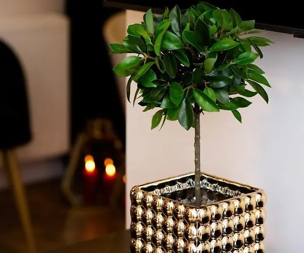 Wola By Renters * Varsó